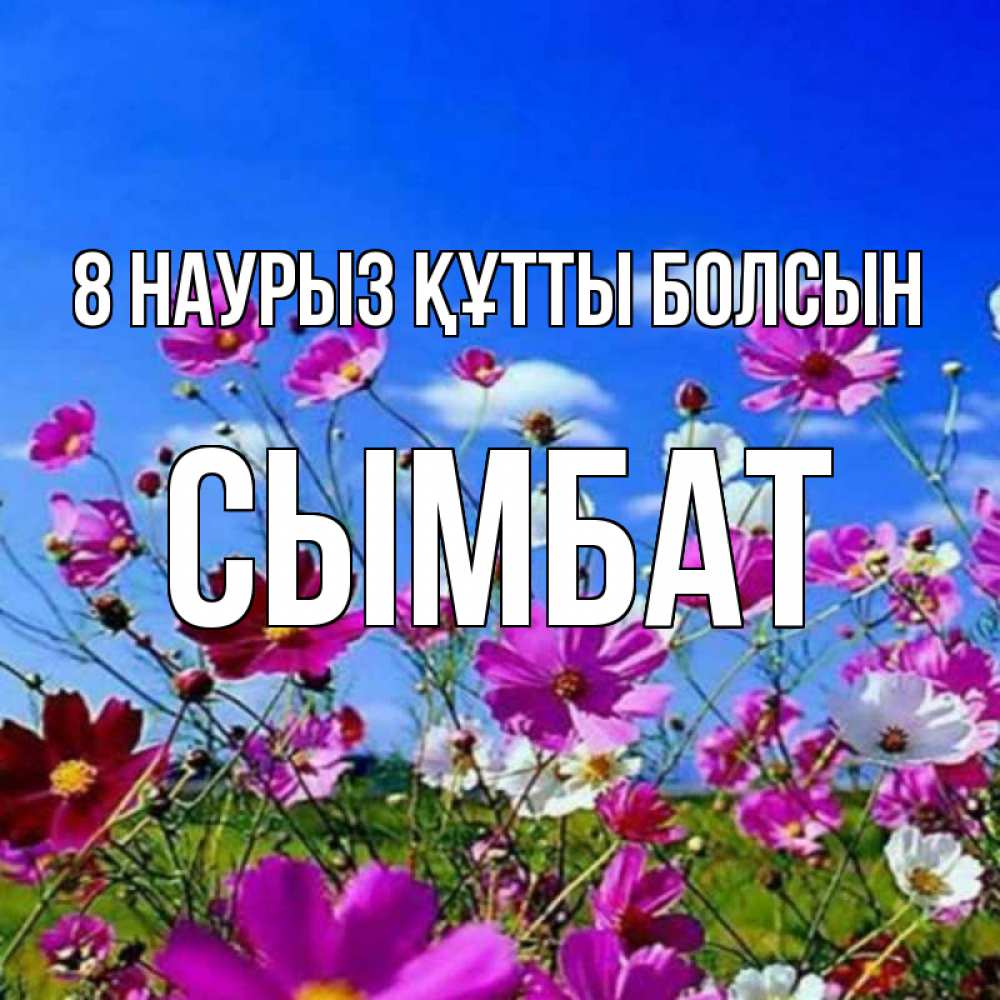 Күн сайын ашық хат с именем, СЫМБАТ 8 наурыз құтты болсын цветы Онлайн тегін жүктеп алу тілектері бар керемет карта 