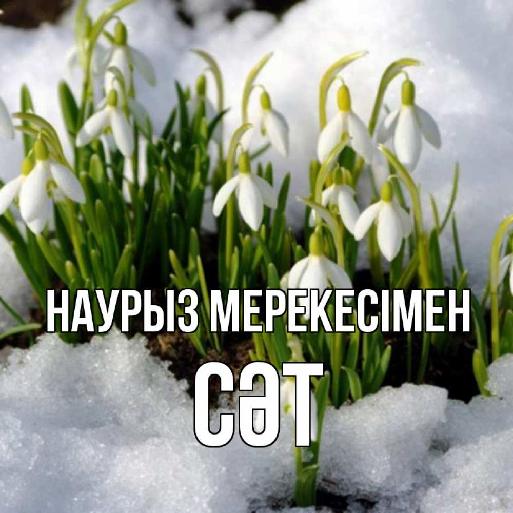 Күн сайын ашық хат с именем, СӘТ Наурыз мерекесімен цветы весенние Онлайн тегін жүктеп алу тілектері бар керемет карта 