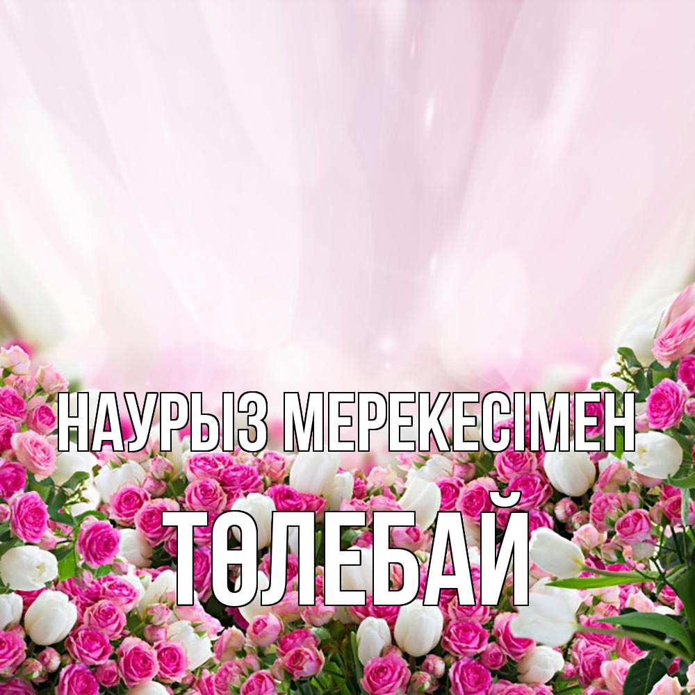 Күн сайын ашық хат с именем, ТӨЛЕБАЙ Наурыз мерекесімен под снегом Онлайн тегін жүктеп алу тілектері бар керемет карта 