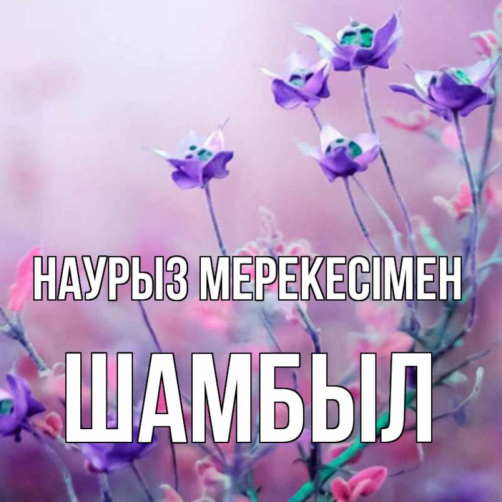 Күн сайын ашық хат с именем, ШАМБЫЛ Наурыз мерекесімен международный женский день 2 Онлайн тегін жүктеп алу тілектері бар керемет карта 