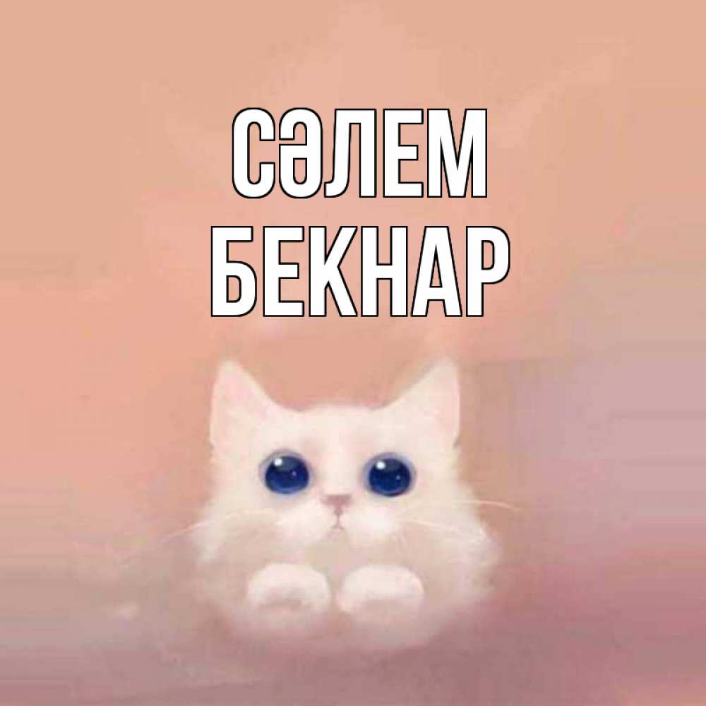 Күн сайын ашық хат с именем, Бекнар Сәлем котик белый в полете Онлайн тегін жүктеп алу тілектері бар керемет карта 