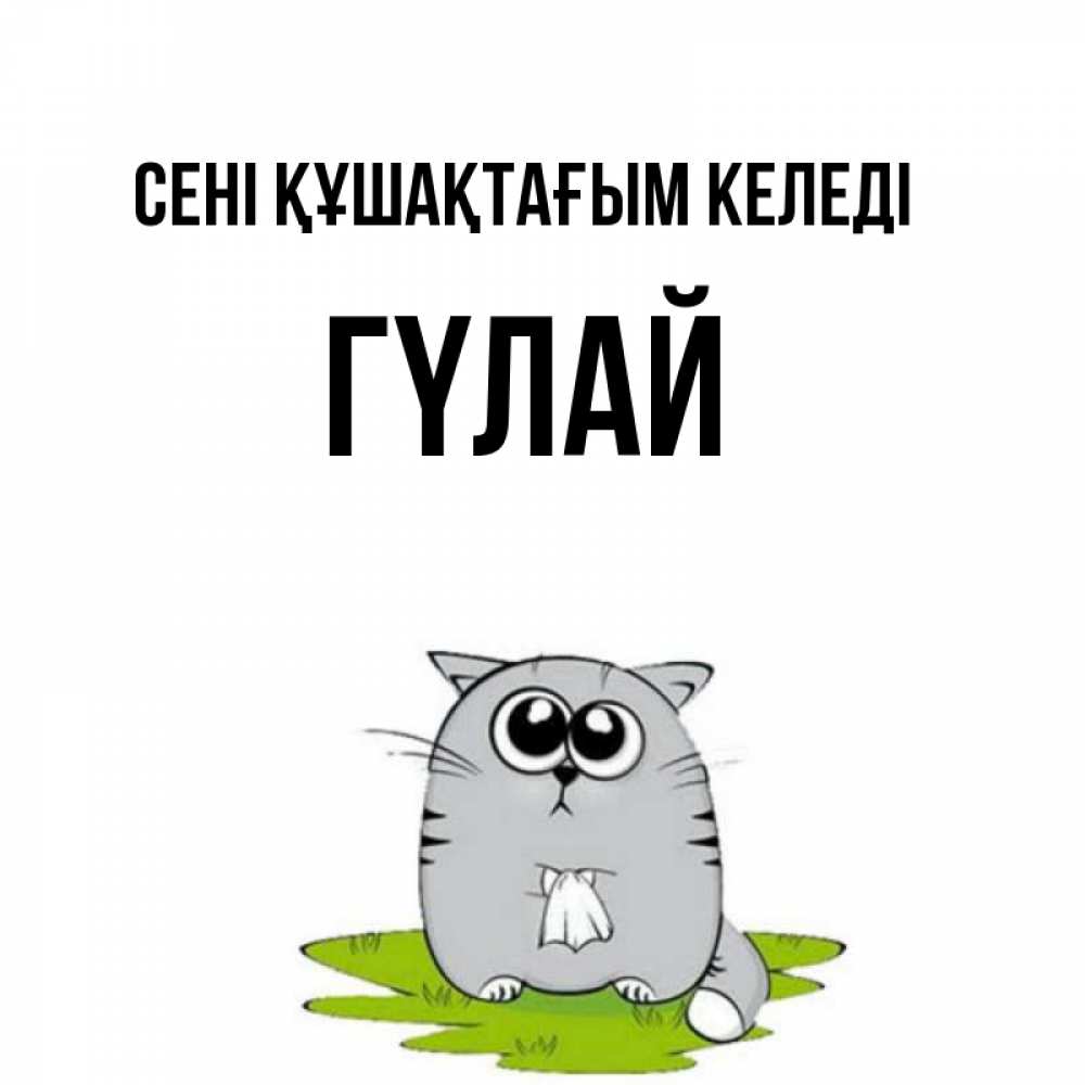 Күн сайын ашық хат с именем, ГҮЛАЙ сені құшақтағым келеді котик теребит платочек сидя на травке Онлайн тегін жүктеп алу тілектері бар керемет карта 