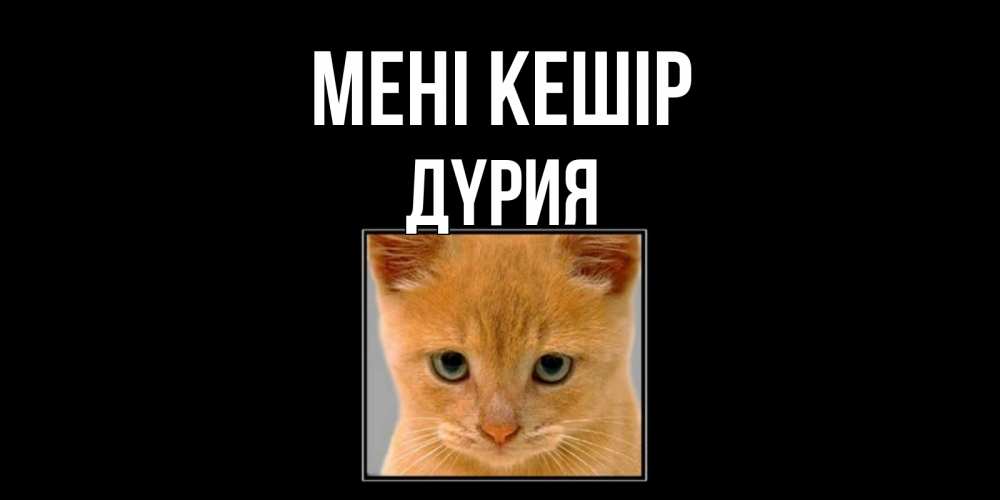 Күн сайын ашық хат с именем, ДҮРИЯ Мені кешір рыжий грустный кот просит прощения Онлайн тегін жүктеп алу тілектері бар керемет карта 