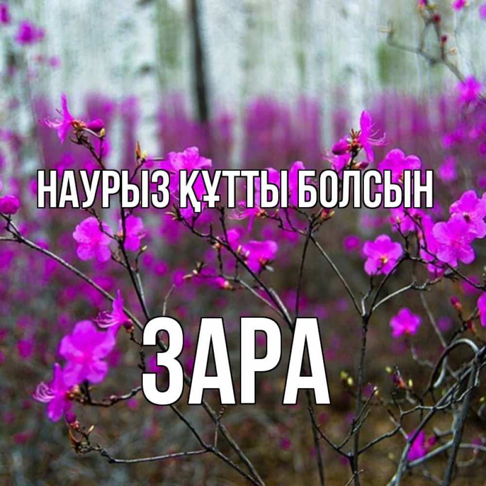Күн сайын ашық хат с именем, ЗАРА Наурыз құтты болсын дикие цветы Онлайн тегін жүктеп алу тілектері бар керемет карта 