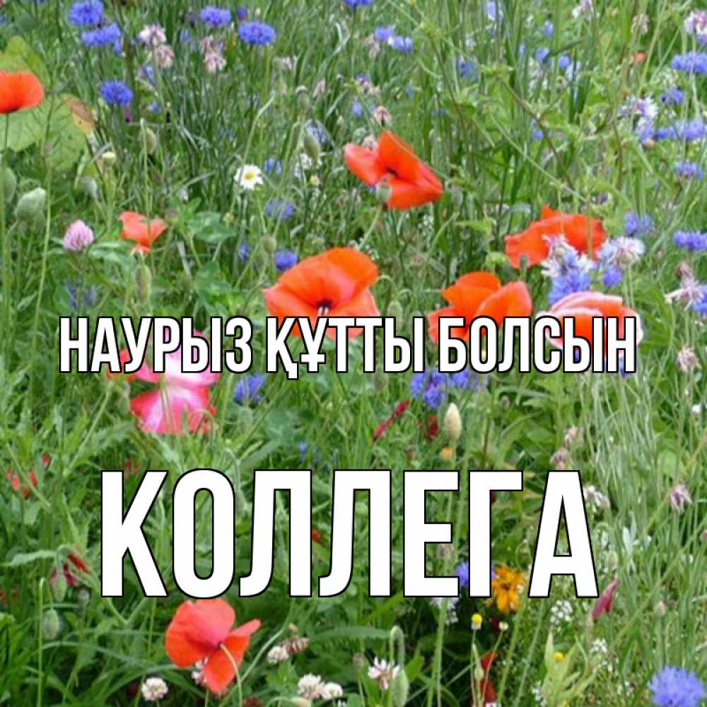 Күн сайын ашық хат с именем, Коллега Наурыз құтты болсын наурыз  4 Онлайн тегін жүктеп алу тілектері бар керемет карта 