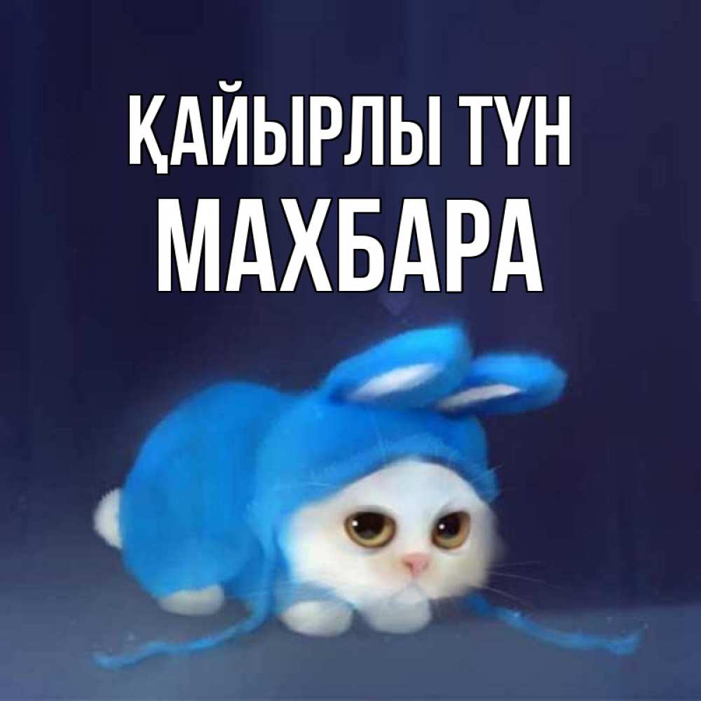 Күн сайын ашық хат с именем, МАХБАРА Қайырлы түн кот в голубом костюме кролика с ушками Онлайн тегін жүктеп алу тілектері бар керемет карта 