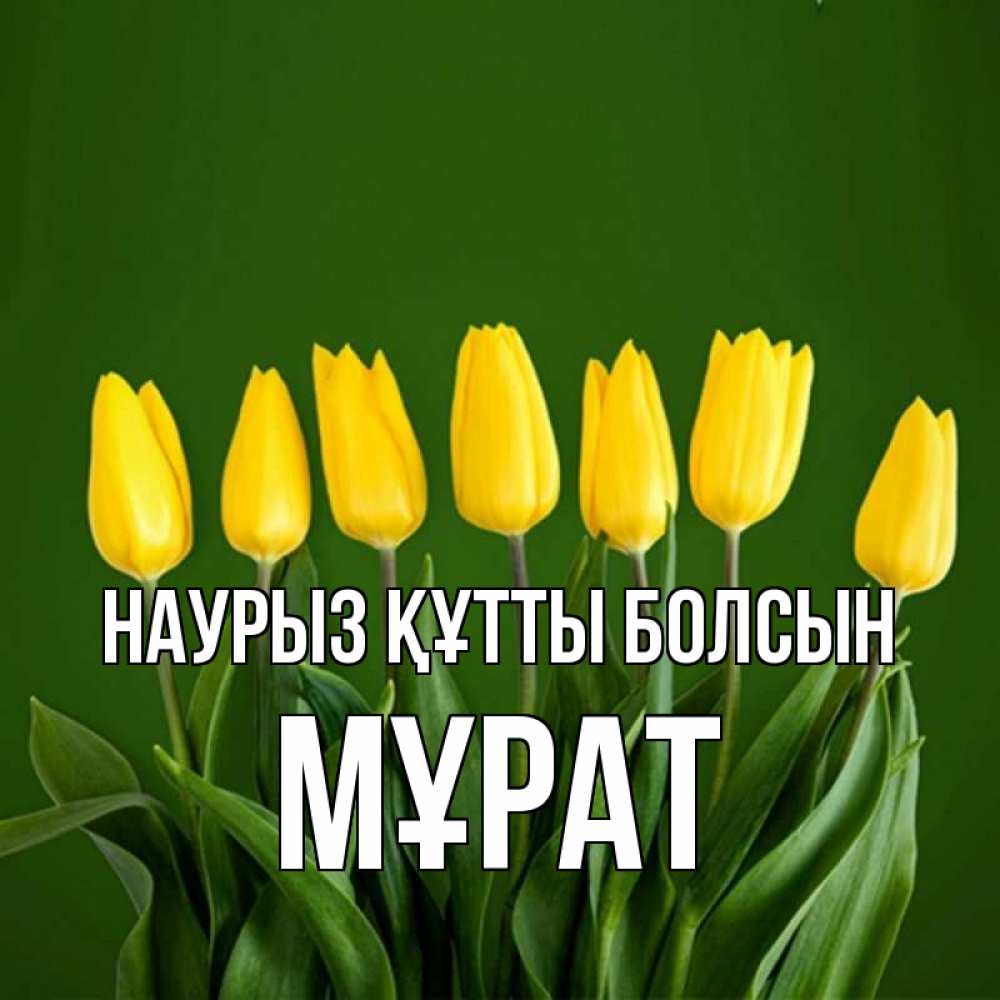 Күн сайын ашық хат с именем, МҰРАТ Наурыз құтты болсын желтого цвета 3 Онлайн тегін жүктеп алу тілектері бар керемет карта 