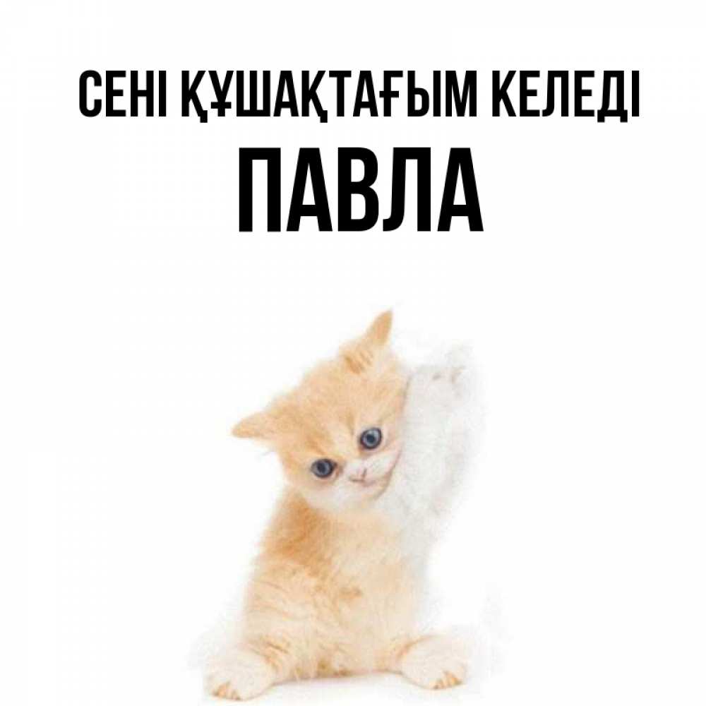 Күн сайын ашық хат с именем, Павла сені құшақтағым келеді я хочу очень скорее обнимаешек Онлайн тегін жүктеп алу тілектері бар керемет карта 