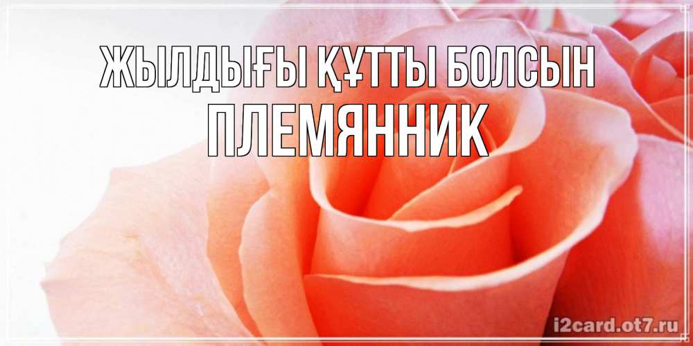 Күн сайын ашық хат с именем, Племянник Жылдығы құтты болсын розы для поздравления с днем рождения Онлайн тегін жүктеп алу тілектері бар керемет карта 