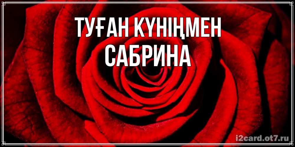 Күн сайын ашық хат с именем, Сабрина Туған күніңмен алая роза Онлайн тегін жүктеп алу тілектері бар керемет карта 