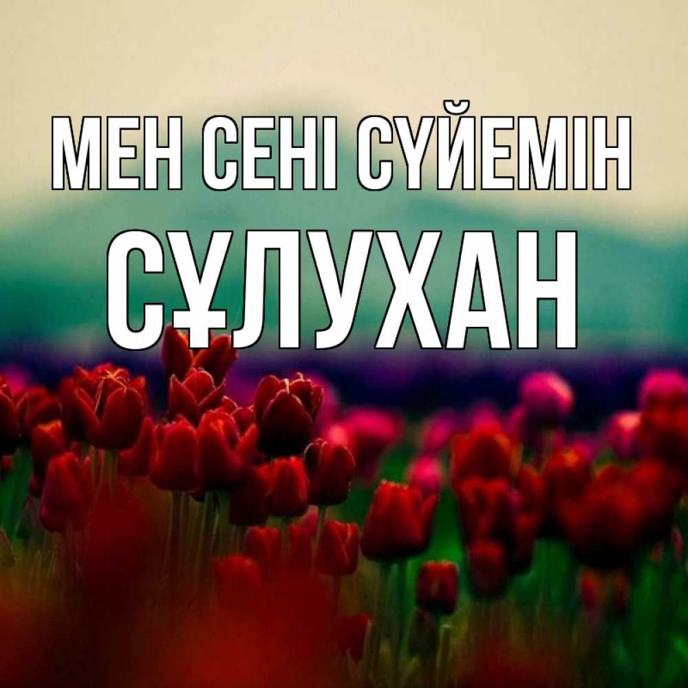 Күн сайын ашық хат с именем, СҰЛУХАН Мен сені сүйемін тюльпаны 4 Онлайн тегін жүктеп алу тілектері бар керемет карта 