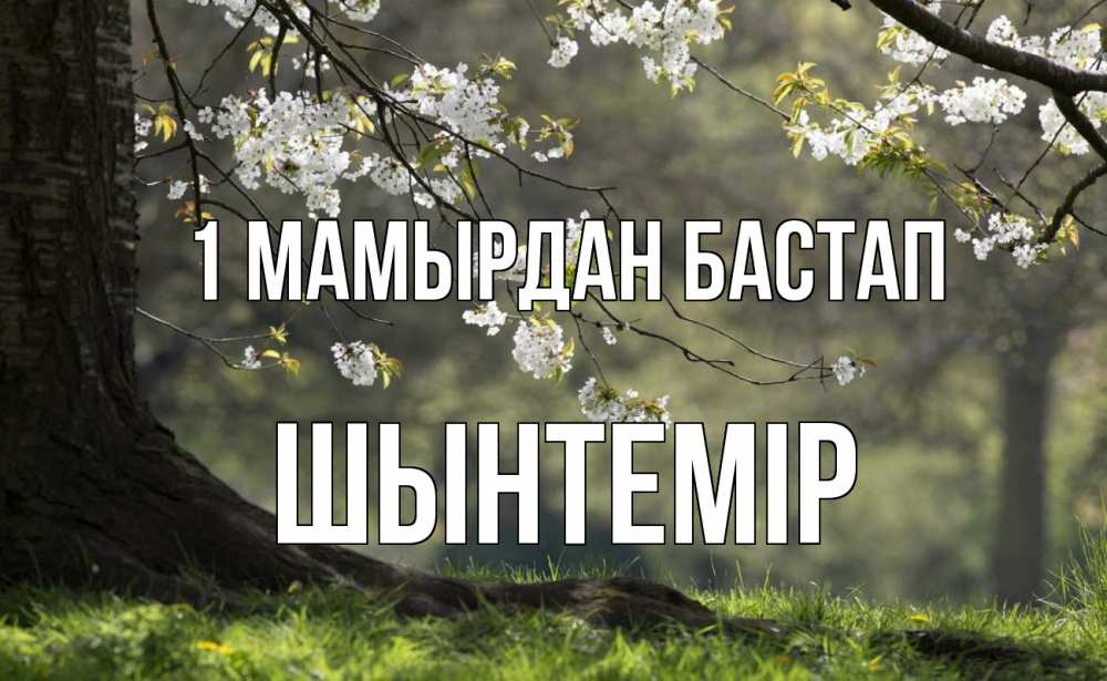Күн сайын ашық хат с именем, ШЫНТЕМІР 1 мамырдан бастап С 1 мая Онлайн тегін жүктеп алу тілектері бар керемет карта 