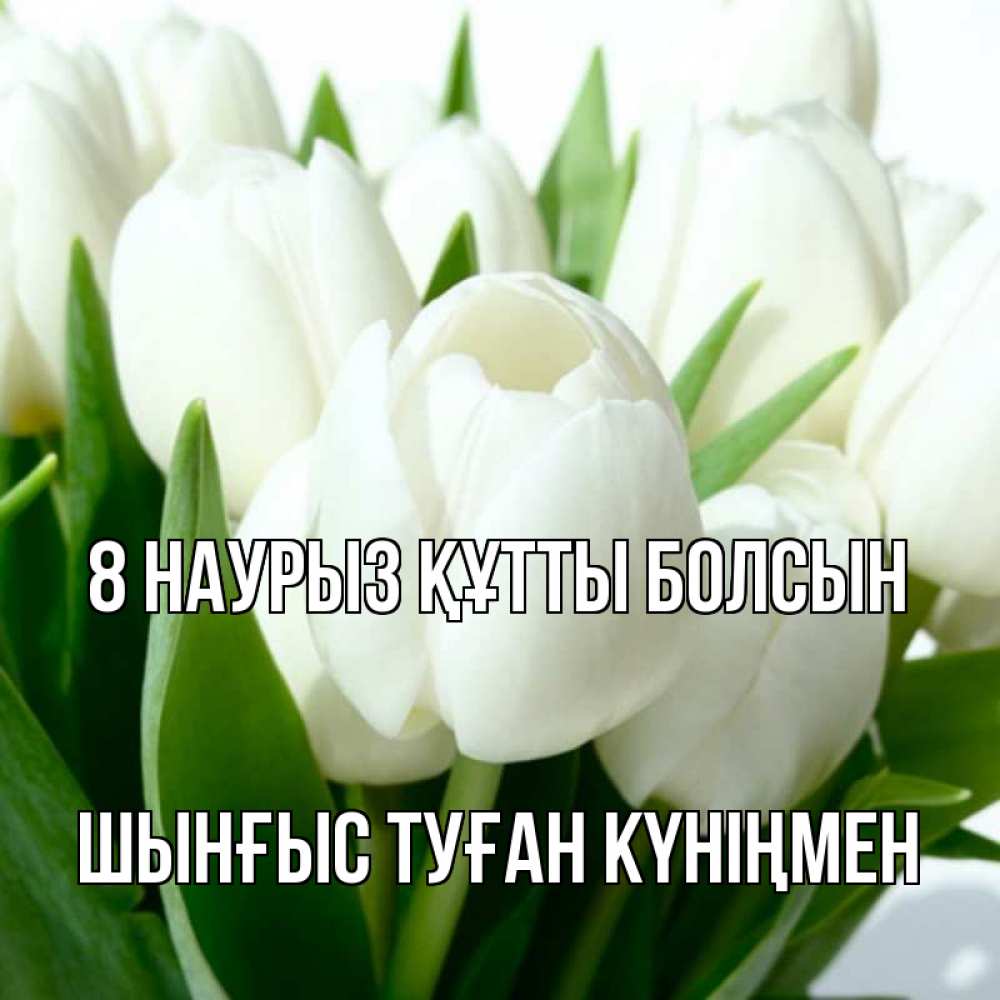 Картинка 8 наурыз құтты болсын, ШЫНҒЫС! ТУҒАН КҮНІҢМЕН!