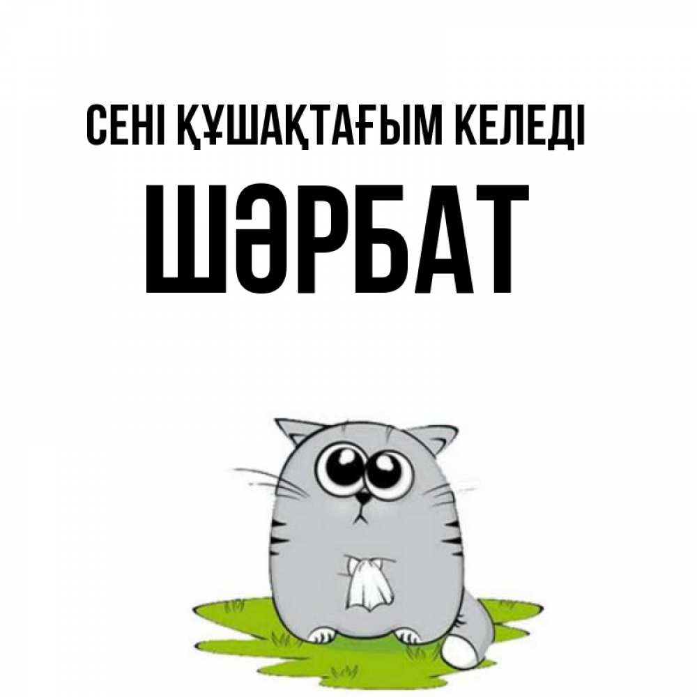 Күн сайын ашық хат с именем, ШӘРБАТ сені құшақтағым келеді котик теребит платочек сидя на травке Онлайн тегін жүктеп алу тілектері бар керемет карта 