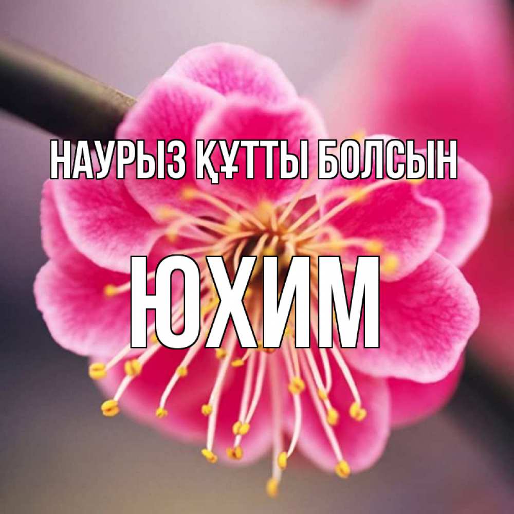 Күн сайын ашық хат с именем, Юхим Наурыз құтты болсын цветы Онлайн тегін жүктеп алу тілектері бар керемет карта 