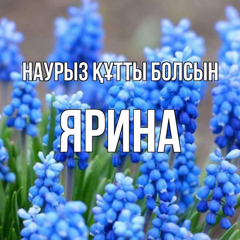 Күн сайын ашық хат с именем, Ярина Наурыз құтты болсын Поздравительная открытка для женщин с цветами на праздничную дату Онлайн тегін жүктеп алу тілектері бар керемет карта 