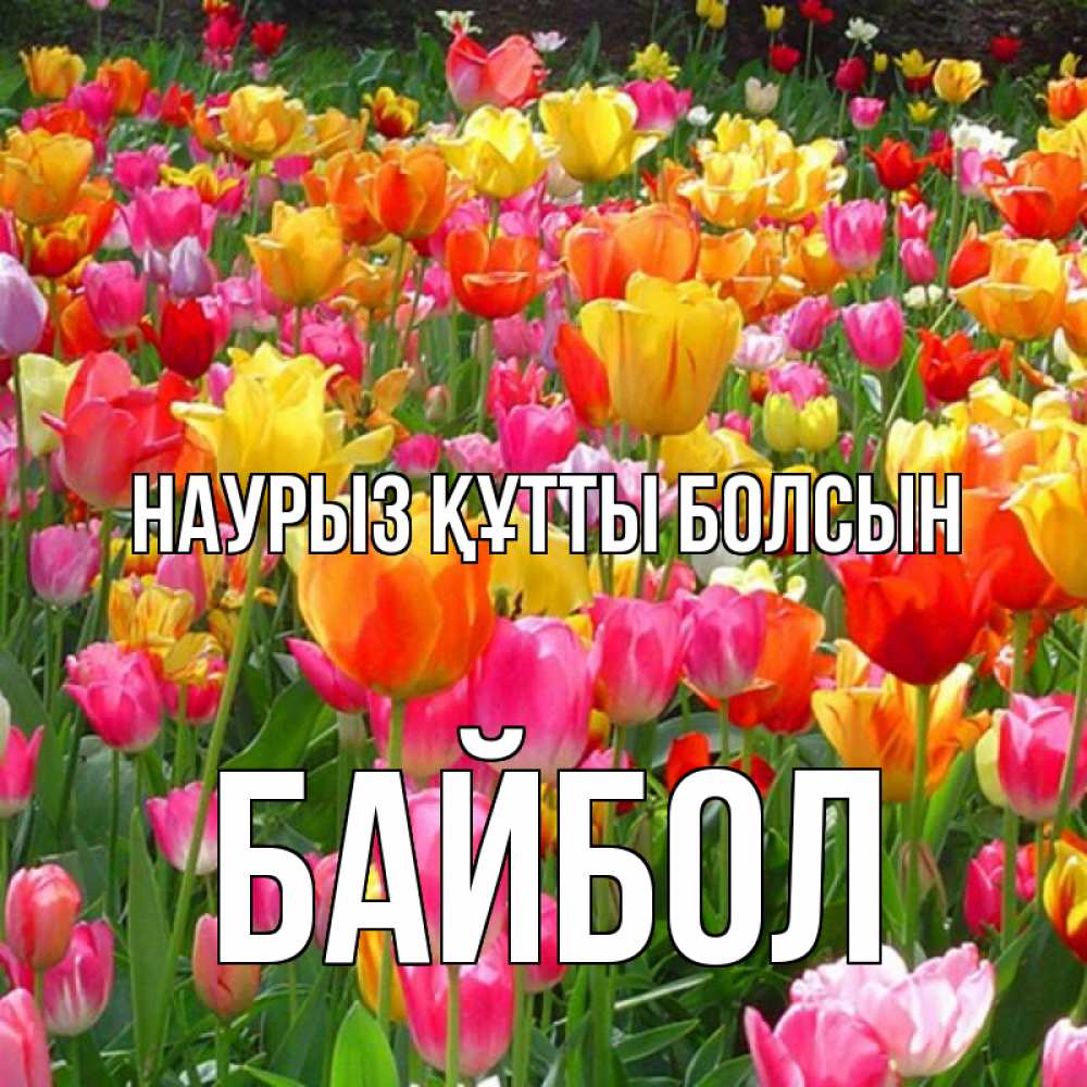 Күн сайын ашық хат с именем, Байбол Наурыз құтты болсын на наурыз  ура ура Онлайн тегін жүктеп алу тілектері бар керемет карта 