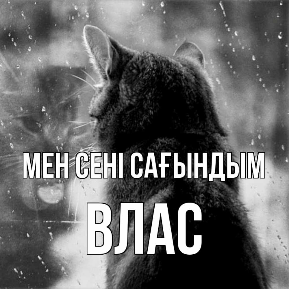 Күн сайын ашық хат с именем, Влас Мен сені сағындым скорее ко мне приходи 1 Онлайн тегін жүктеп алу тілектері бар керемет карта 