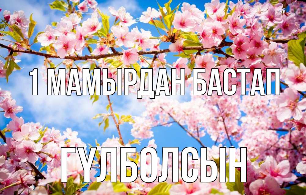 Күн сайын ашық хат с именем, ГҮЛБОЛСЫН 1 мамырдан бастап С 1 мая Онлайн тегін жүктеп алу тілектері бар керемет карта 