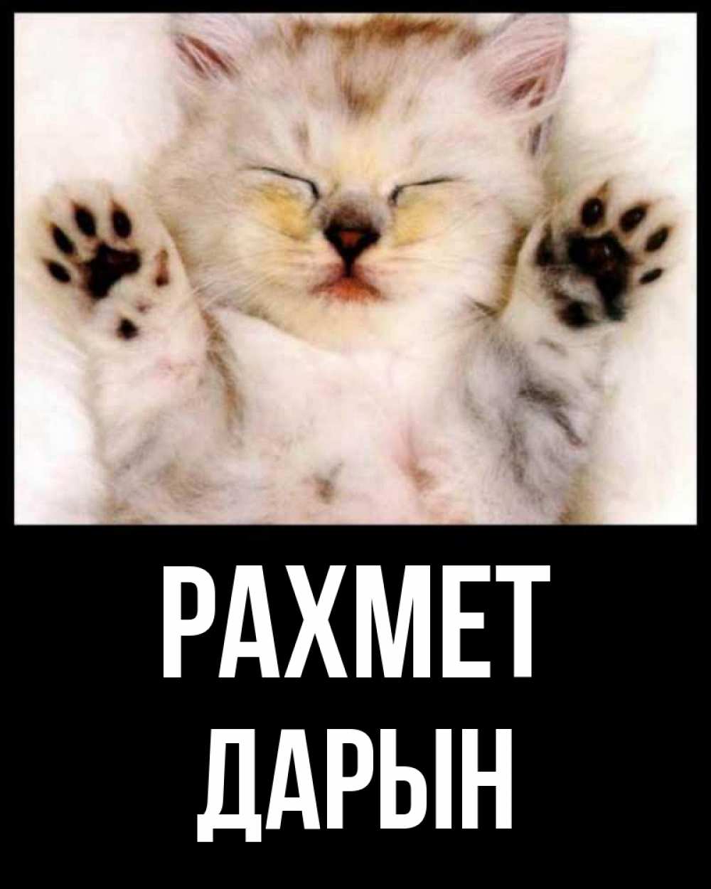 Күн сайын ашық хат с именем, Дарын рахмет маленький котенок Онлайн тегін жүктеп алу тілектері бар керемет карта 