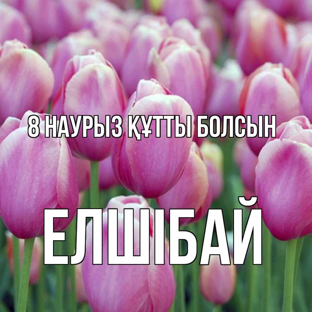 Күн сайын ашық хат с именем, Елшібай 8 наурыз құтты болсын на международный женский день 3 Онлайн тегін жүктеп алу тілектері бар керемет карта 