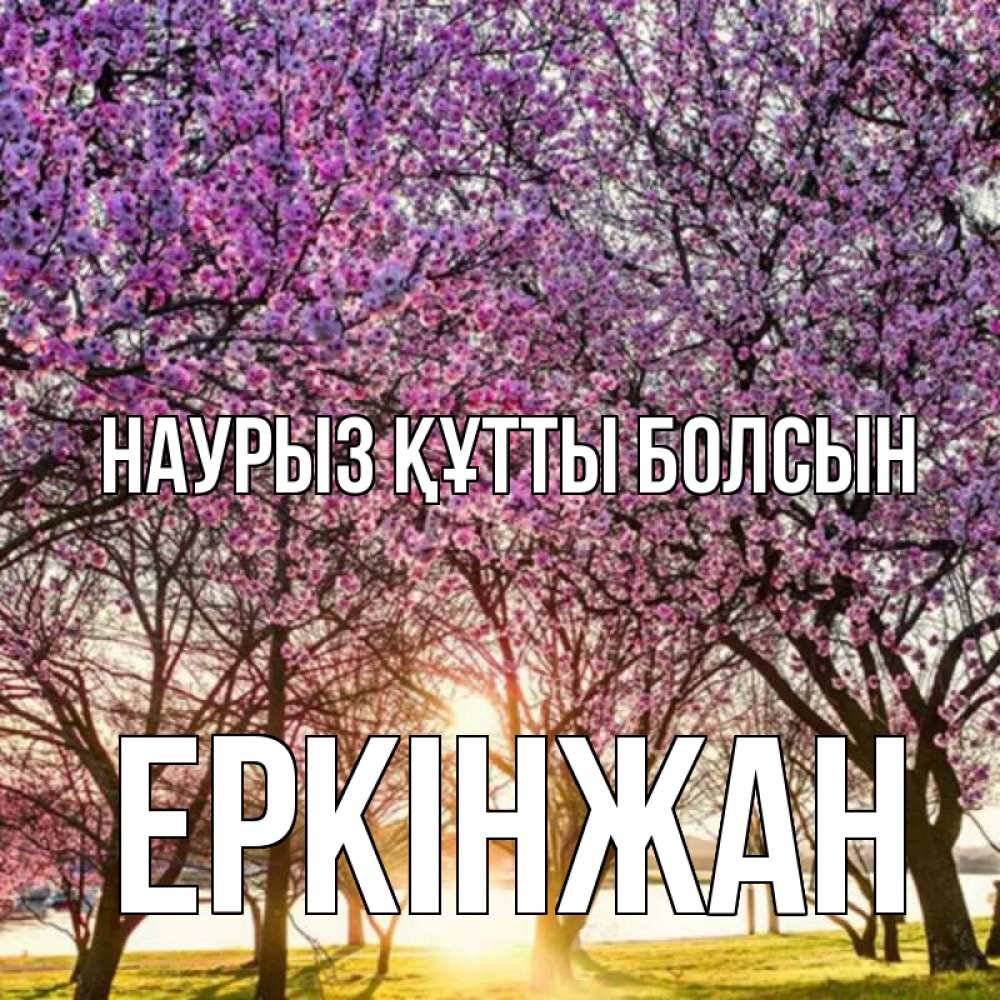 Күн сайын ашық хат с именем, Еркінжан Наурыз құтты болсын наурыз Онлайн тегін жүктеп алу тілектері бар керемет карта 