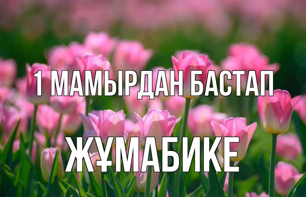 Күн сайын ашық хат с именем, ЖҰМАБИКЕ 1 мамырдан бастап С 1 мая Онлайн тегін жүктеп алу тілектері бар керемет карта 