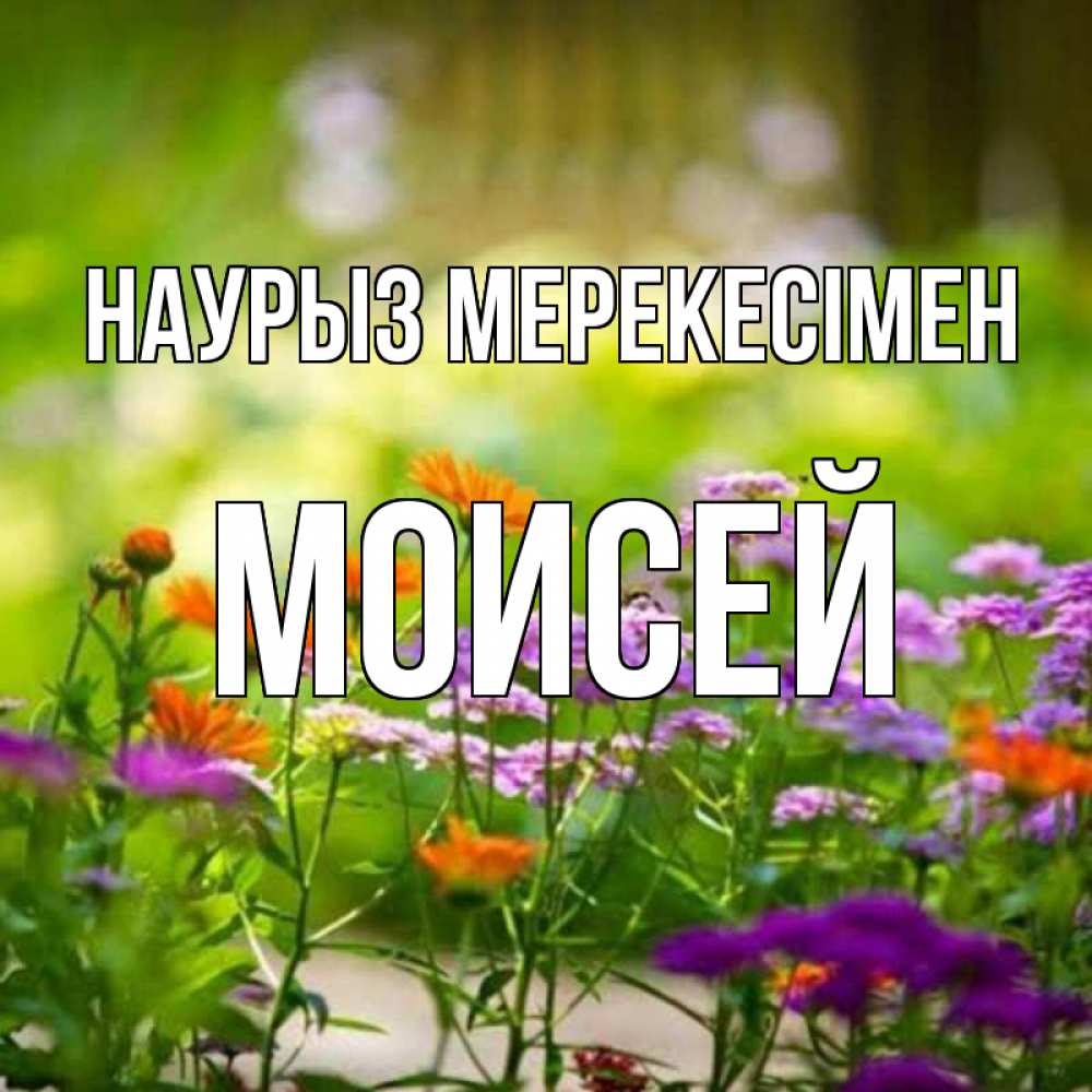 Күн сайын ашық хат с именем, Моисей Наурыз мерекесімен цветы Онлайн тегін жүктеп алу тілектері бар керемет карта 
