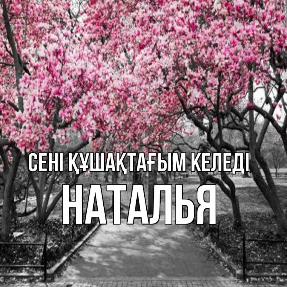 Күн сайын ашық хат с именем, Наталья сені құшақтағым келеді обработанное фото Онлайн тегін жүктеп алу тілектері бар керемет карта 
