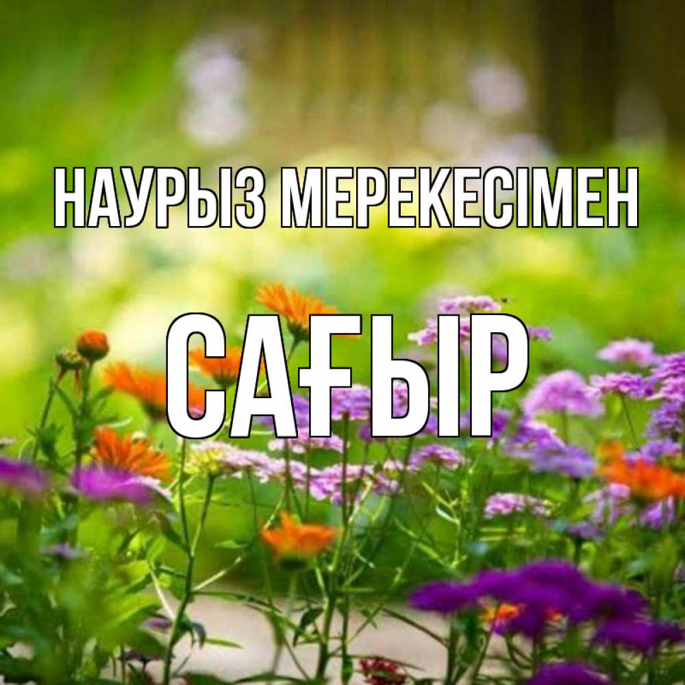 Күн сайын ашық хат с именем, САҒЫР Наурыз мерекесімен цветы Онлайн тегін жүктеп алу тілектері бар керемет карта 