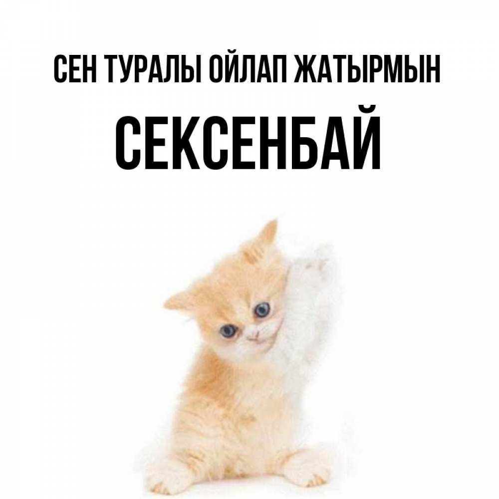 Күн сайын ашық хат с именем, СЕКСЕНБАЙ Сен туралы ойлап жатырмын зверушки и милота Онлайн тегін жүктеп алу тілектері бар керемет карта 