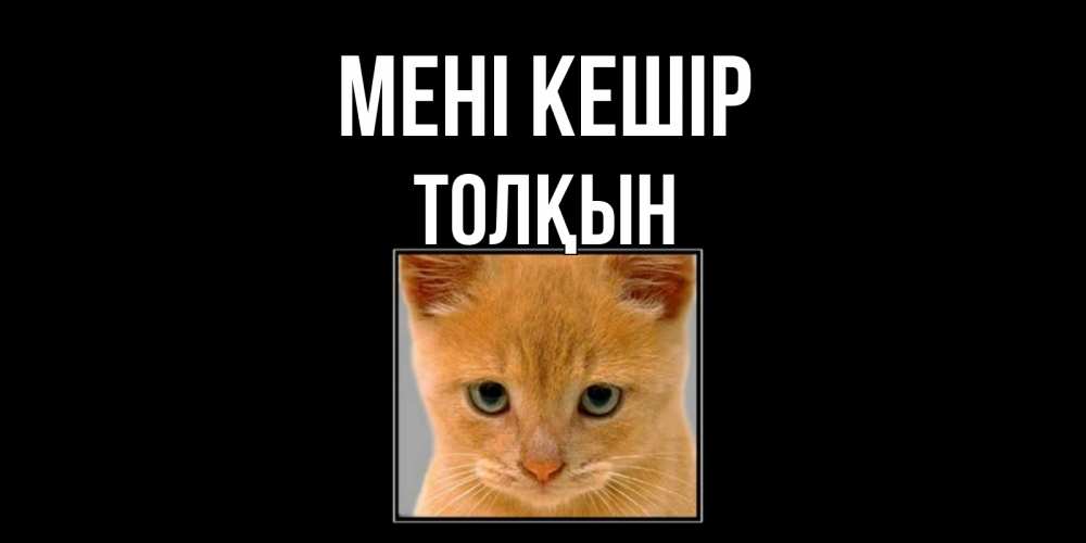 Күн сайын ашық хат с именем, ТОЛҚЫН Мені кешір рыжий грустный кот просит прощения Онлайн тегін жүктеп алу тілектері бар керемет карта 