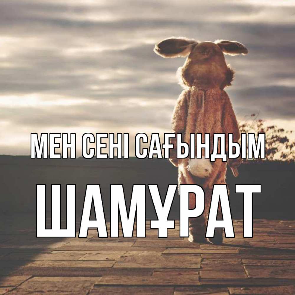 Күн сайын ашық хат с именем, ШАМҰРАТ Мен сені сағындым даже в костюме зайца Онлайн тегін жүктеп алу тілектері бар керемет карта 