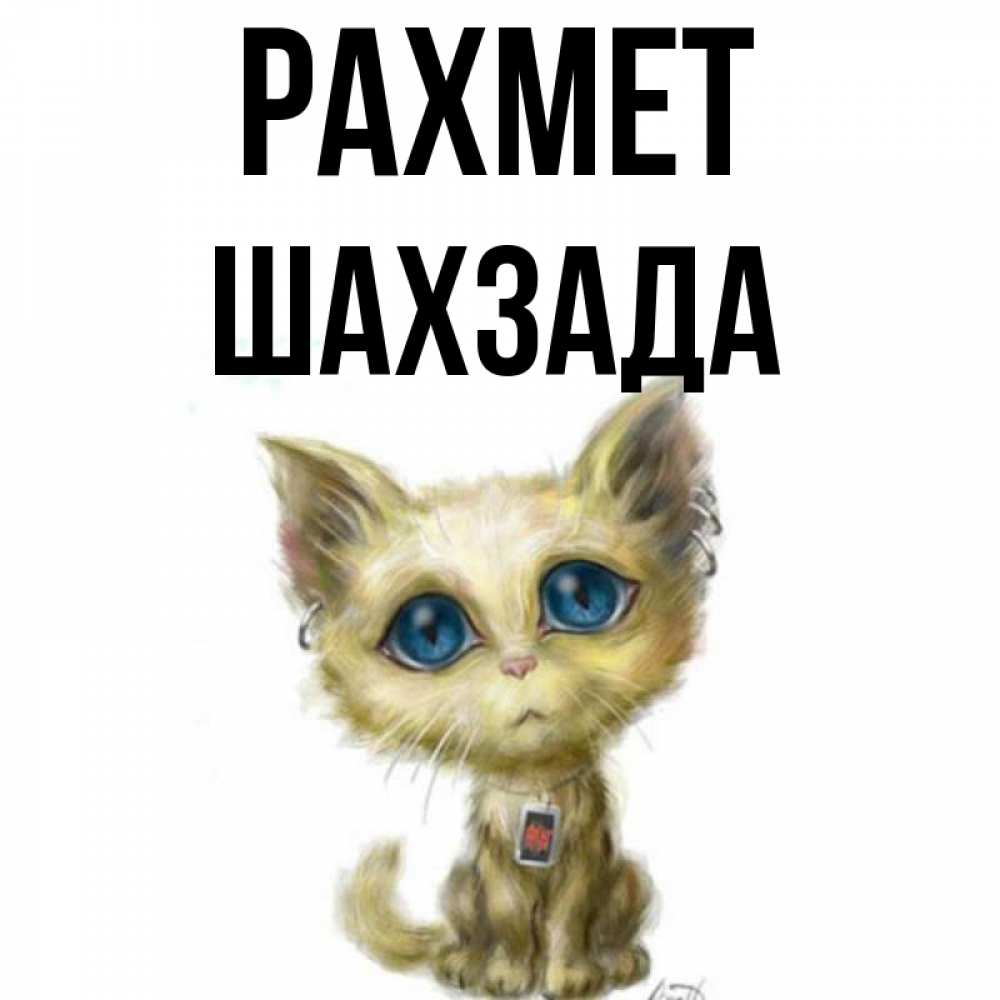 Күн сайын ашық хат с именем, ШАХЗАДА рахмет рисованный кот благодарит вас Онлайн тегін жүктеп алу тілектері бар керемет карта 