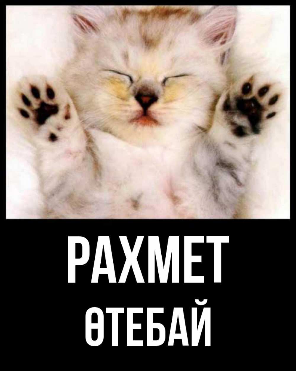 Күн сайын ашық хат с именем, ӨТЕБАЙ рахмет маленький котенок Онлайн тегін жүктеп алу тілектері бар керемет карта 