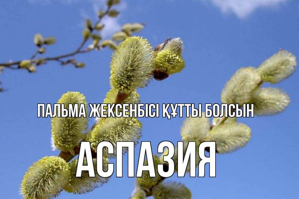 Күн сайын ашық хат с именем, АСПАЗИЯ Пальма жексенбісі құтты болсын верба Онлайн тегін жүктеп алу тілектері бар керемет карта 