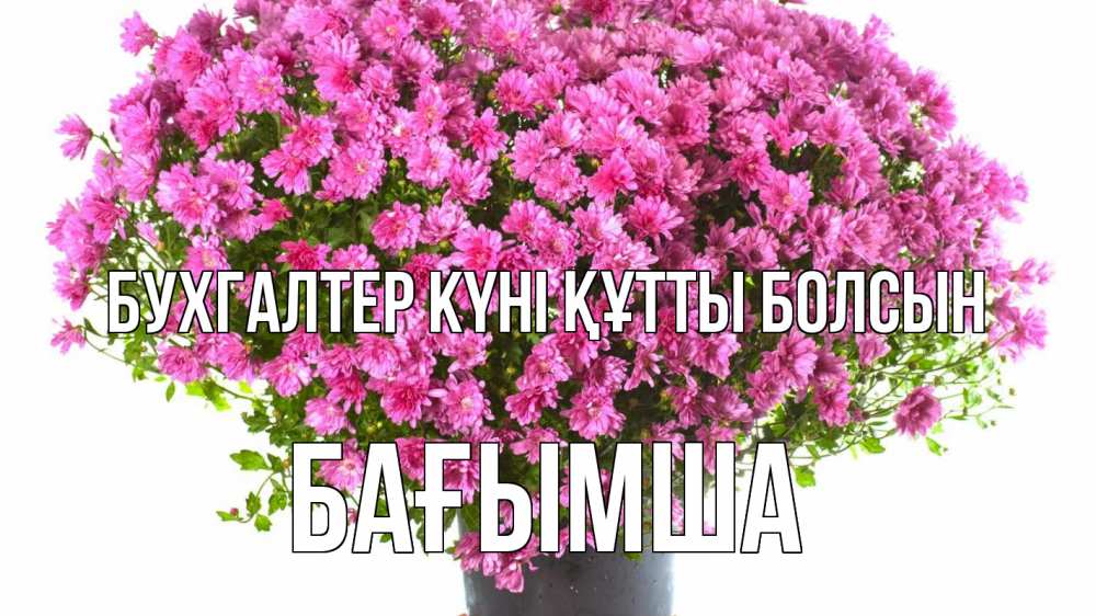 Күн сайын ашық хат с именем, БАҒЫМША бухгалтер күні құтты болсын с днем бухгалтера Онлайн тегін жүктеп алу тілектері бар керемет карта 