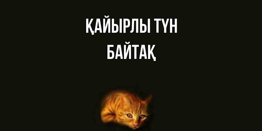 Күн сайын ашық хат с именем, Байтақ Қайырлы түн кот Онлайн тегін жүктеп алу тілектері бар керемет карта 