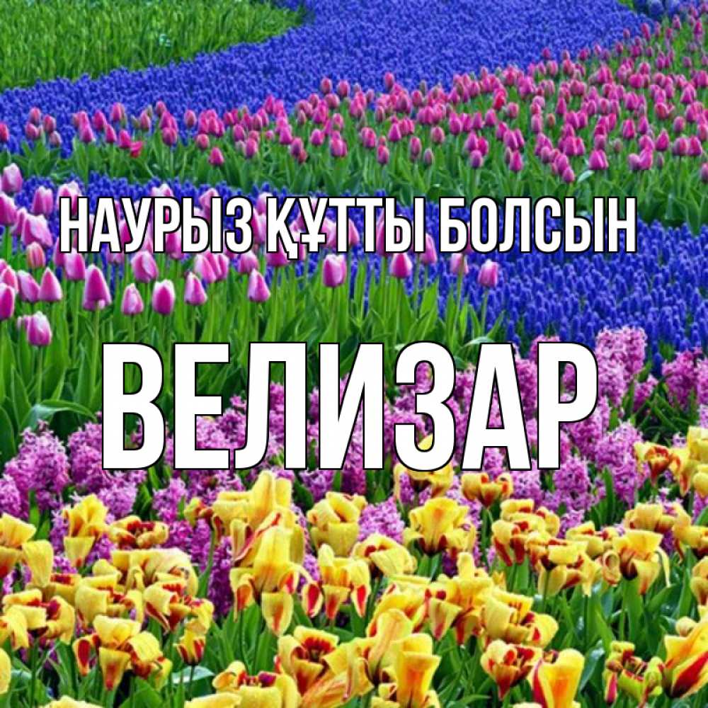 Күн сайын ашық хат с именем, Велизар Наурыз құтты болсын цветы Онлайн тегін жүктеп алу тілектері бар керемет карта 