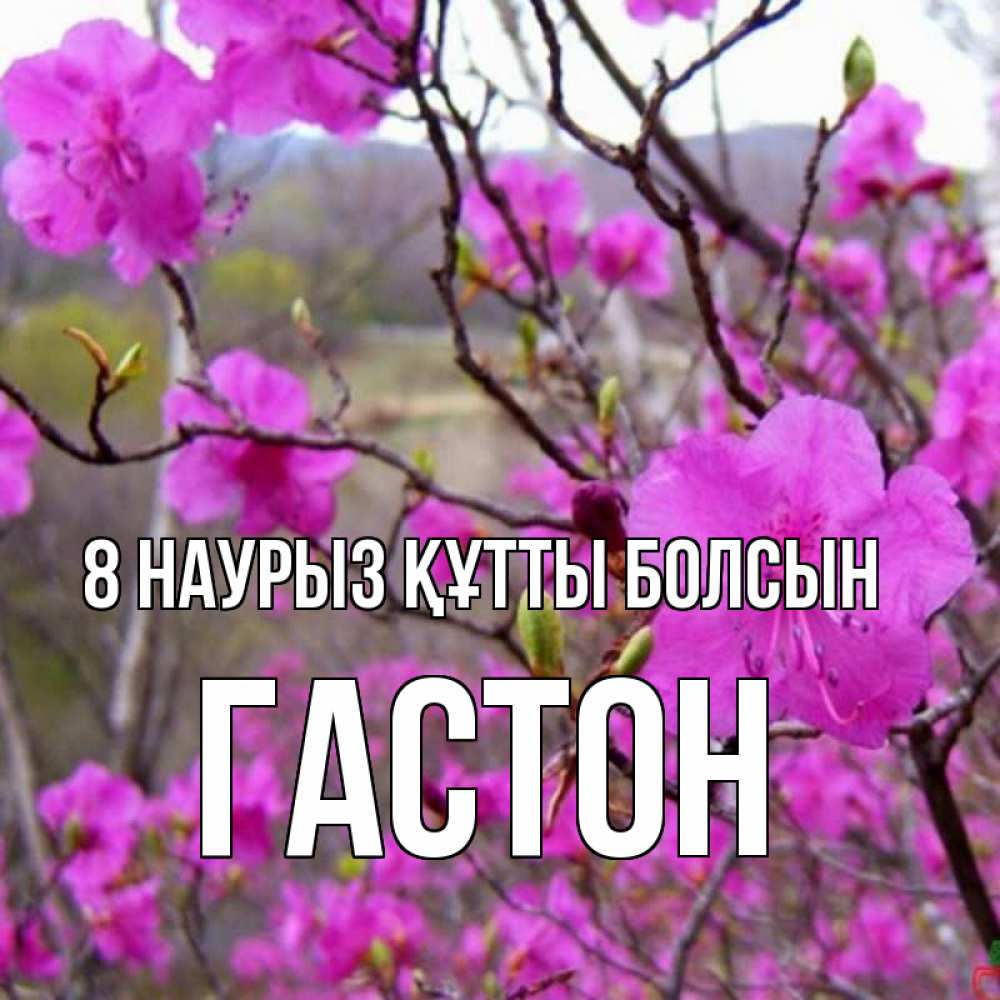 Күн сайын ашық хат с именем, Гастон 8 наурыз құтты болсын международный женский день Онлайн тегін жүктеп алу тілектері бар керемет карта 