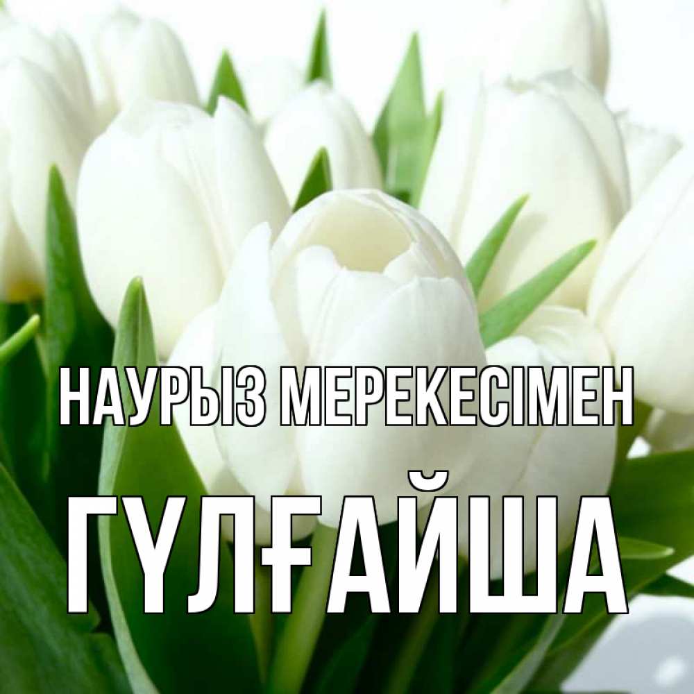 Күн сайын ашық хат с именем, ГҮЛҒАЙША Наурыз мерекесімен цветы Онлайн тегін жүктеп алу тілектері бар керемет карта 