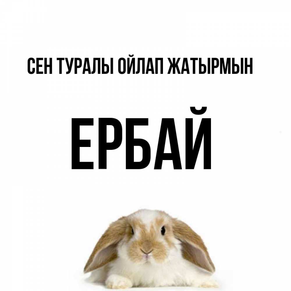 Күн сайын ашық хат с именем, Ербай Сен туралы ойлап жатырмын подписать своими руками онлайн Онлайн тегін жүктеп алу тілектері бар керемет карта 