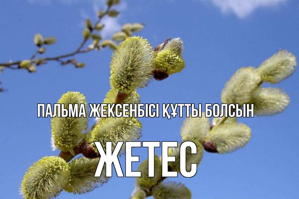 Күн сайын ашық хат с именем, Жетес Пальма жексенбісі құтты болсын верба Онлайн тегін жүктеп алу тілектері бар керемет карта 