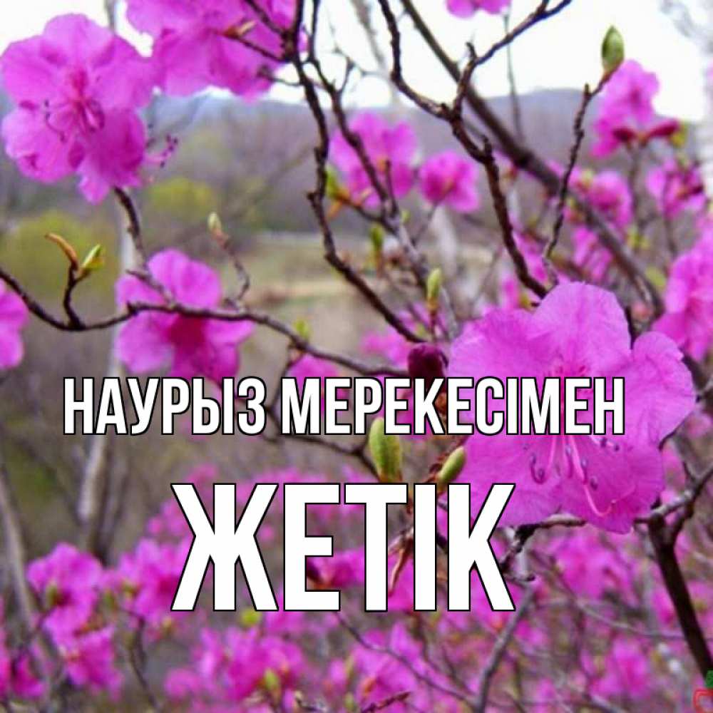 Күн сайын ашық хат с именем, Жетік Наурыз мерекесімен праздник весны наурыз Онлайн тегін жүктеп алу тілектері бар керемет карта 