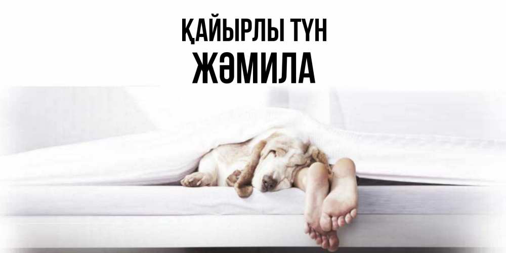 Күн сайын ашық хат с именем, ЖӘМИЛА Қайырлы түн кровать с собакой пожелание сладких снов и спокойной ночи Онлайн тегін жүктеп алу тілектері бар керемет карта 