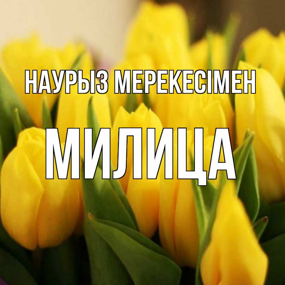 Күн сайын ашық хат с именем, Милица Наурыз мерекесімен цветы Онлайн тегін жүктеп алу тілектері бар керемет карта 