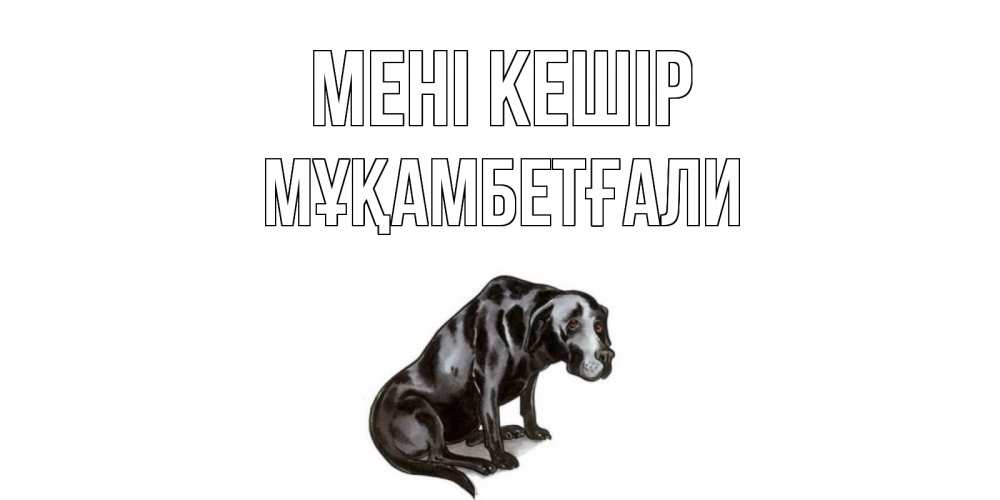 Күн сайын ашық хат с именем, Мұқамбетғали Мені кешір грустная собака на открытке с подписью прости меня Онлайн тегін жүктеп алу тілектері бар керемет карта 