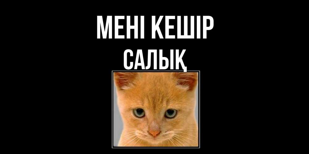 Күн сайын ашық хат с именем, САЛЫҚ Мені кешір рыжий грустный кот просит прощения Онлайн тегін жүктеп алу тілектері бар керемет карта 