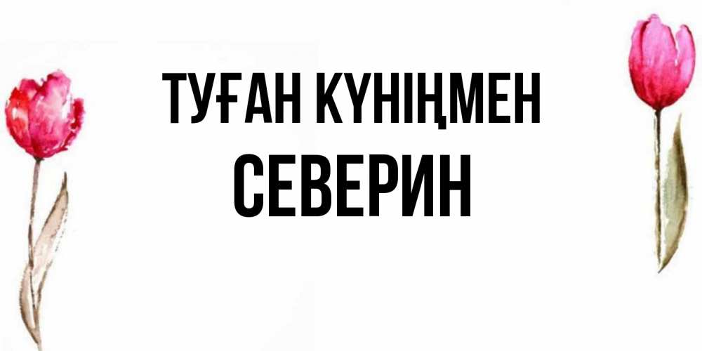 Күн сайын ашық хат с именем, Северин Туған күніңмен открытки акварелью с цветами Онлайн тегін жүктеп алу тілектері бар керемет карта 