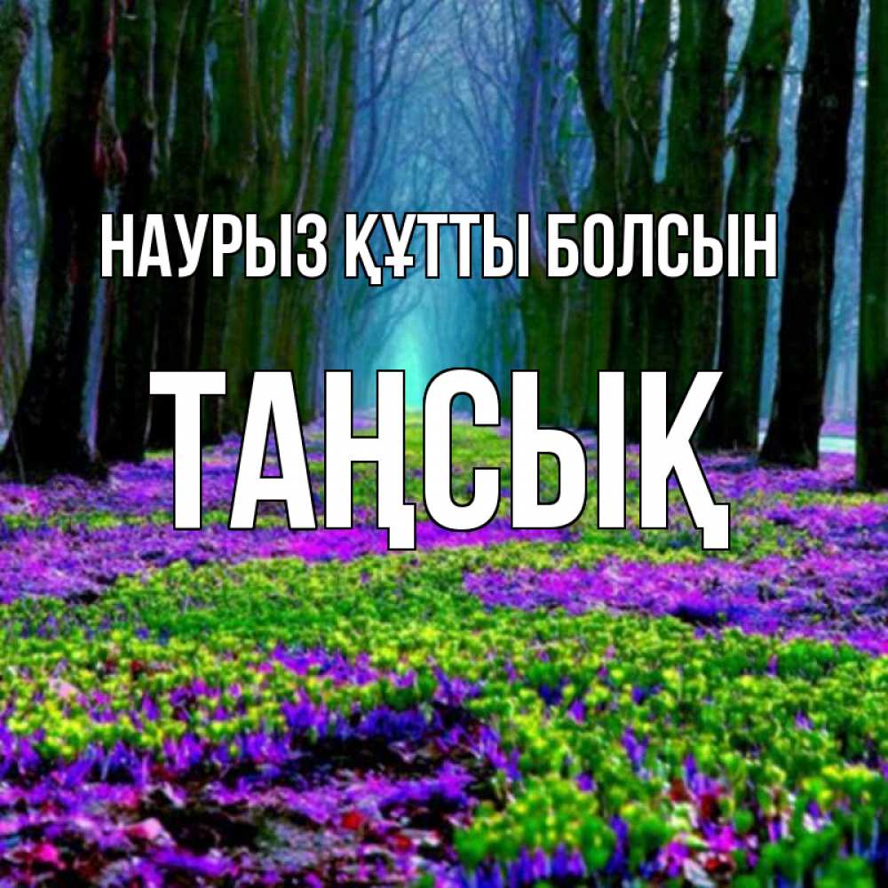 Күн сайын ашық хат с именем, ТАҢСЫҚ Наурыз құтты болсын фиолетовые цветы в лесу 1 Онлайн тегін жүктеп алу тілектері бар керемет карта 